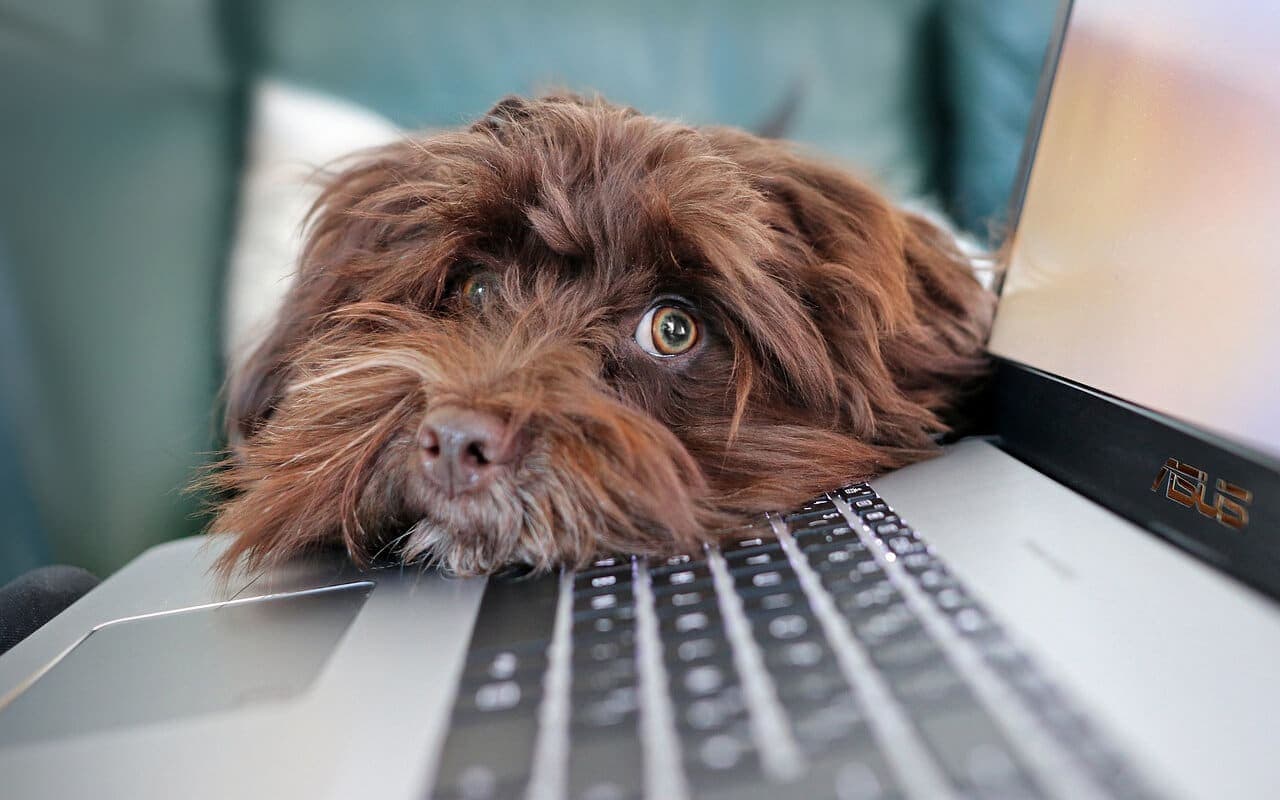 How To Fix a Beeping Laptop?